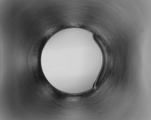 X0000086950595200705141824