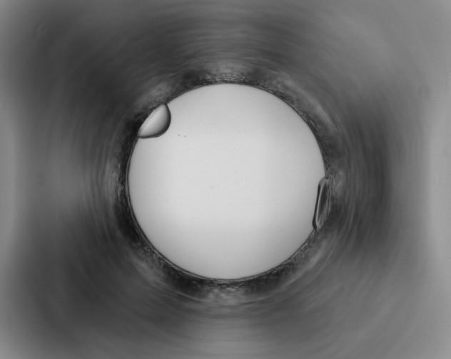 X0000086950599200705141823