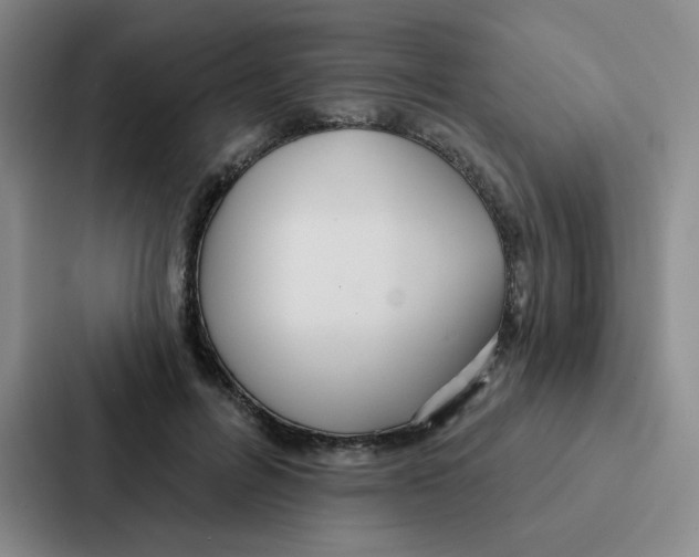 X0000086950600200705141823