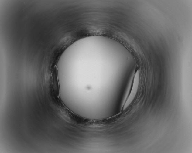 X0000086950601200705141823