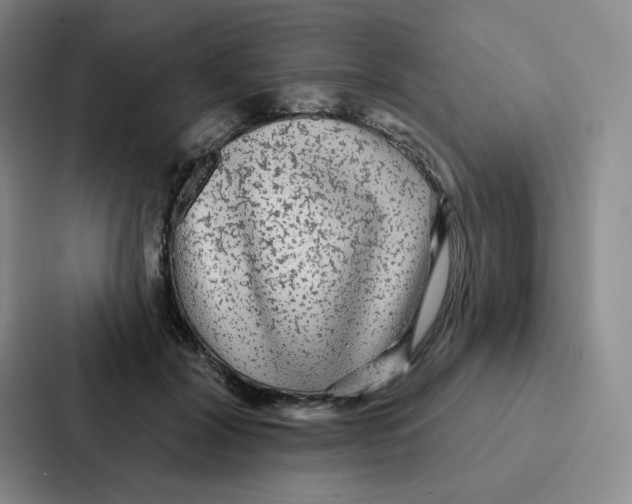 X0000086950604200705141823