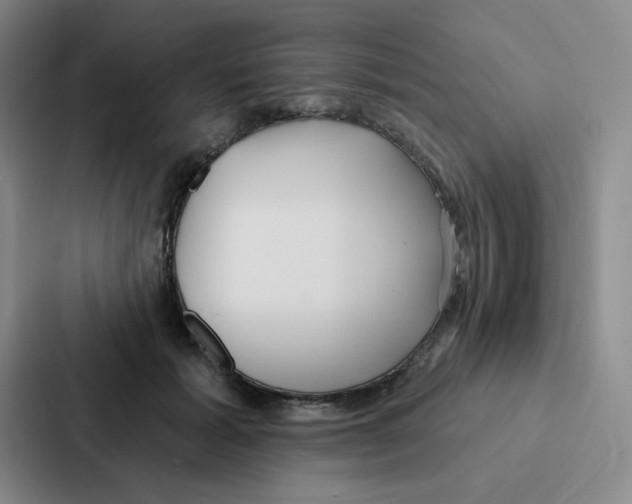 X0000086950605200705141823