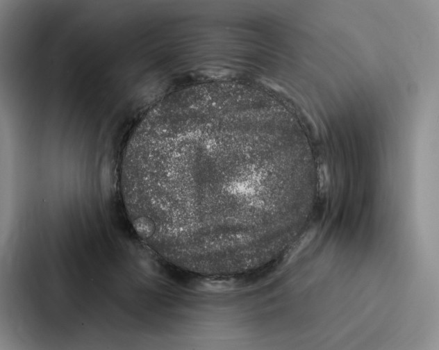 X0000086950606200705141823