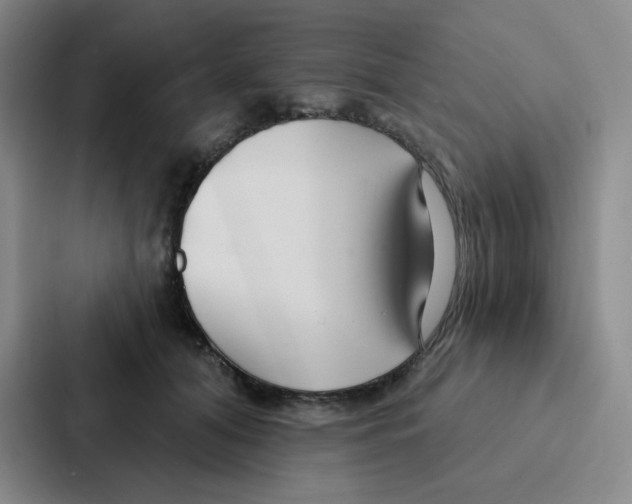 X0000086950608200705141823