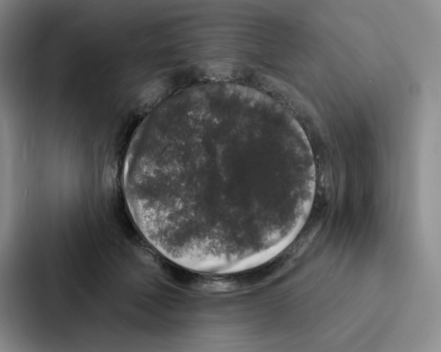 X0000086950610200705141823