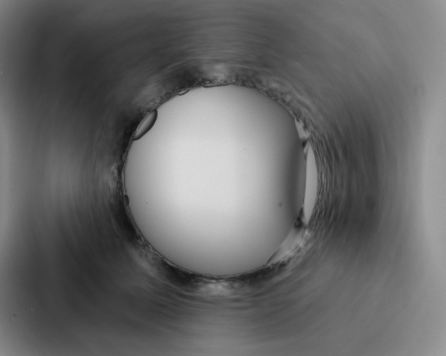 X0000086950611200705141823