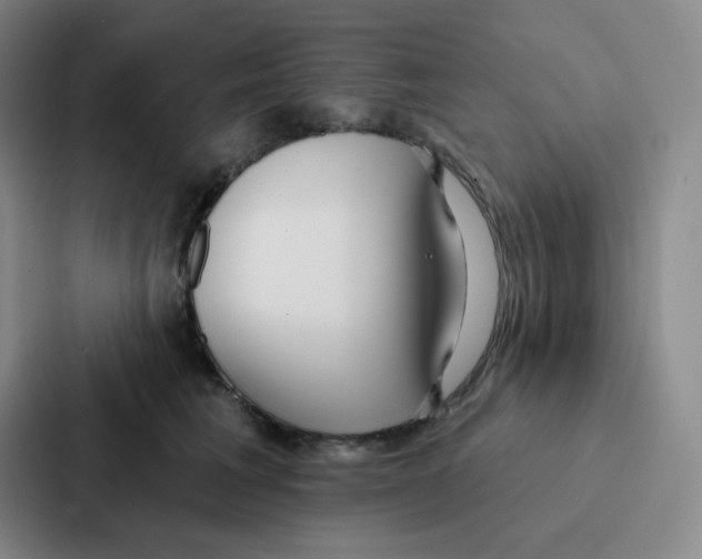 X0000086950613200705141823