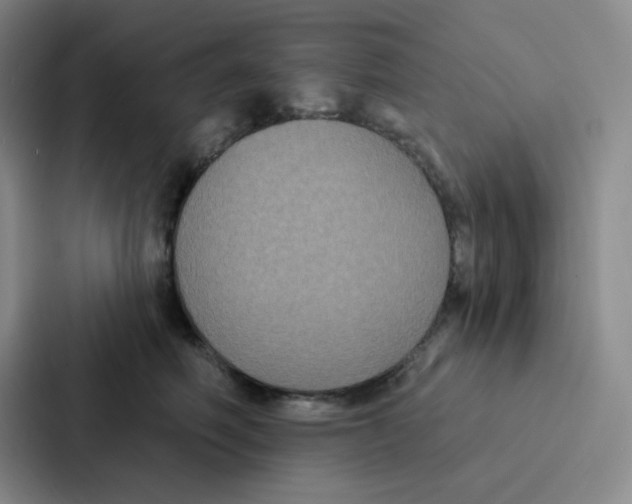 X0000086950614200705141823