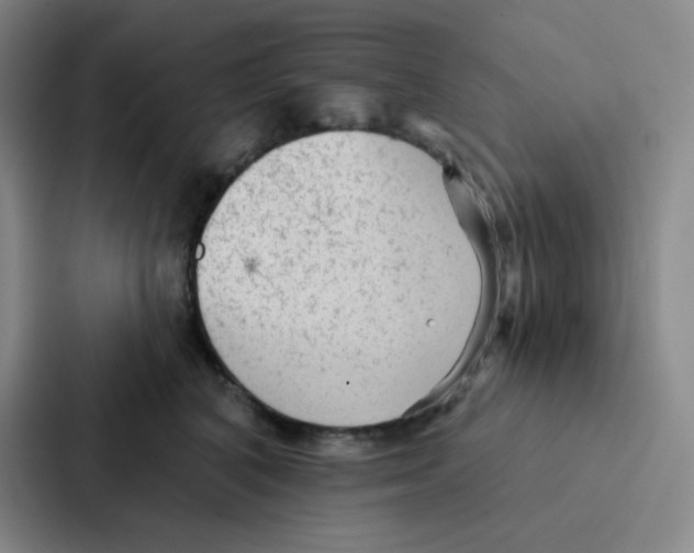 X0000086950616200705141823