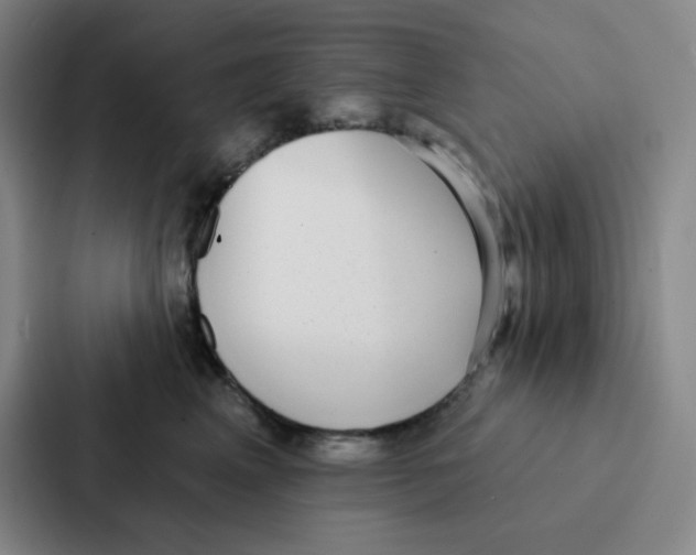 X0000086950617200705141823