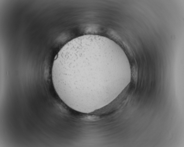 X0000086950619200705141823