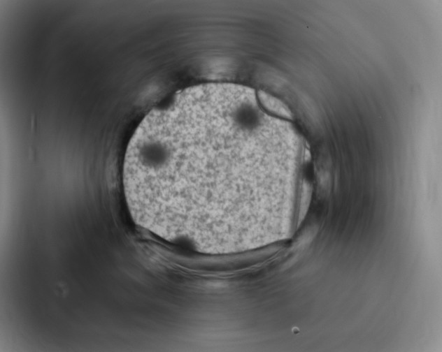 X0000086950620200705141823