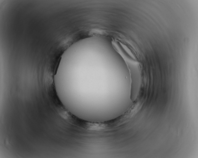 X0000086950621200705141823