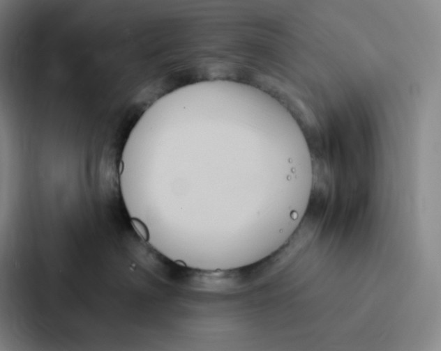 X0000086950622200705141823