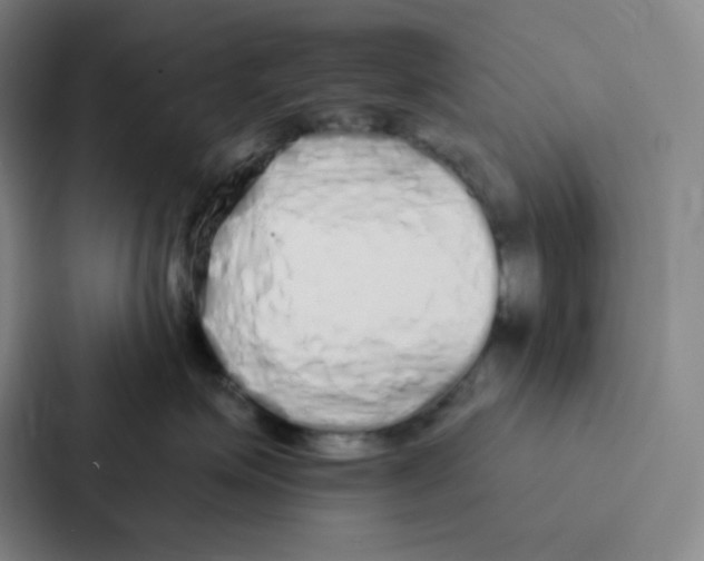 X0000086950623200705141823