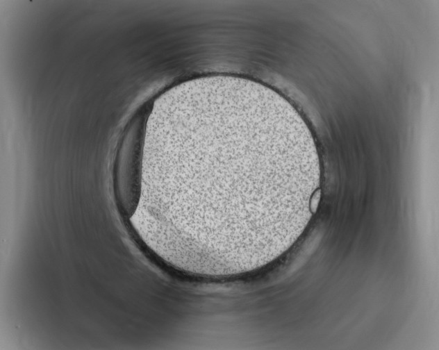 X0000086950625200705141823