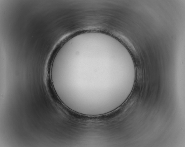 X0000086950628200705141823