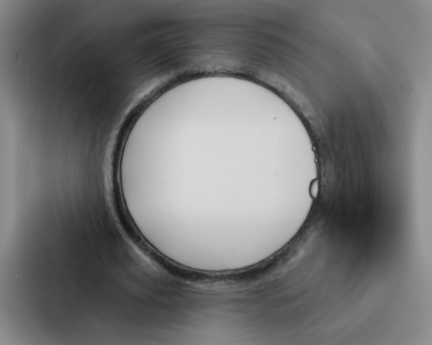 X0000086950629200705141823