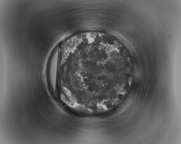 X0000086950630200705141823