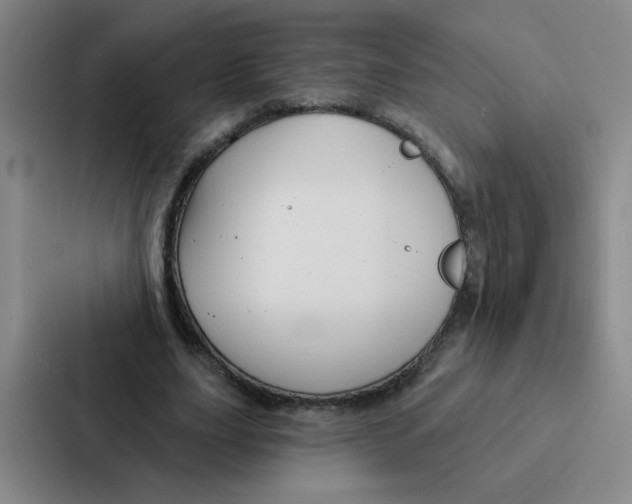 X0000086950631200705141823