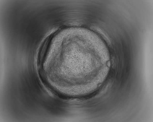 X0000086950634200705141823