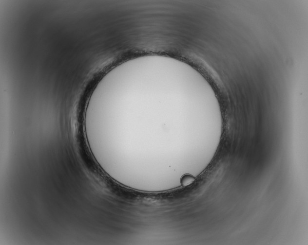 X0000086950635200705141823