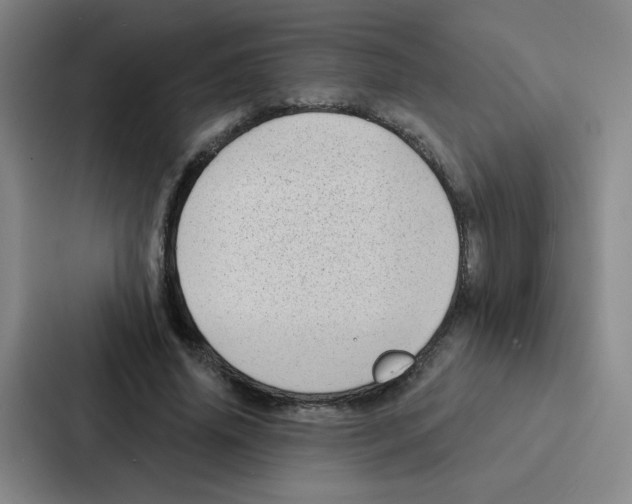 X0000086950636200705141823