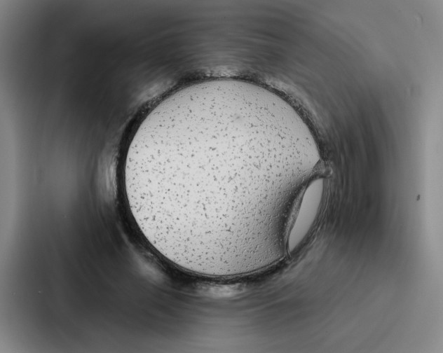 X0000086950638200705141823