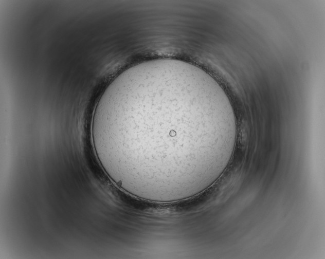 X0000086950639200705141823