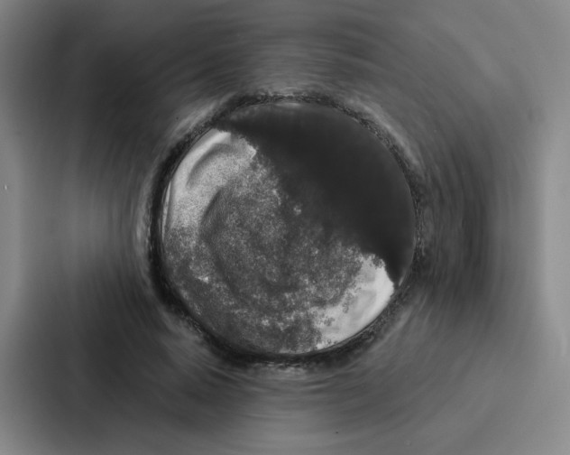 X0000086950640200705141823