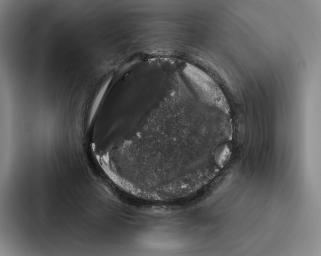 X0000086950641200705141823