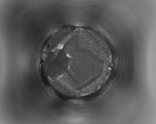 X0000086950644200705141823