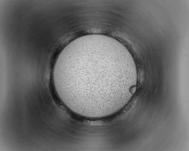 X0000086950645200705141823