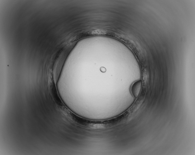 X0000086950649200705141823