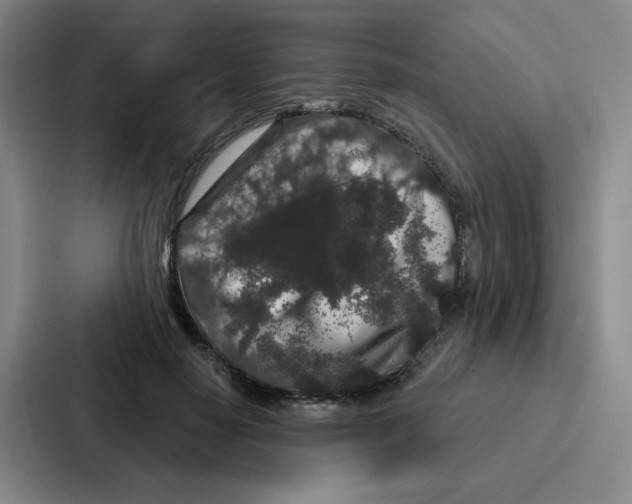 X0000086950650200705141823