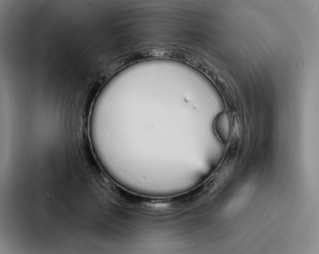 X0000086950651200705141823