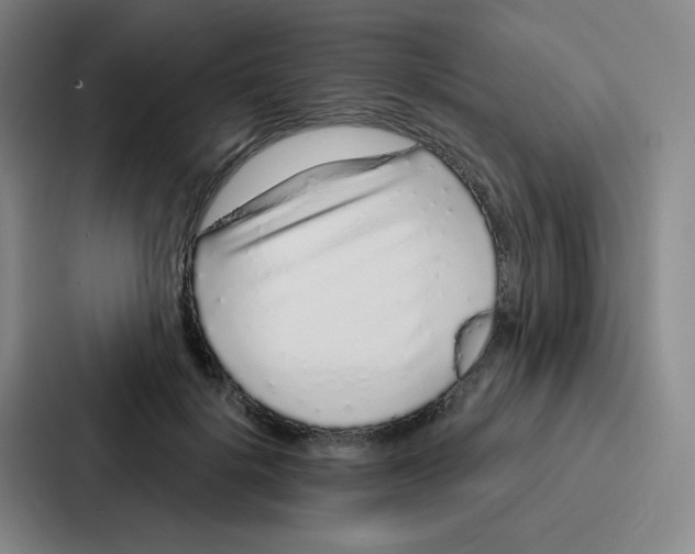 X0000086950652200705141823