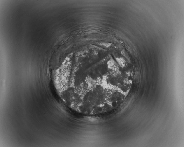 X0000086950654200705141823