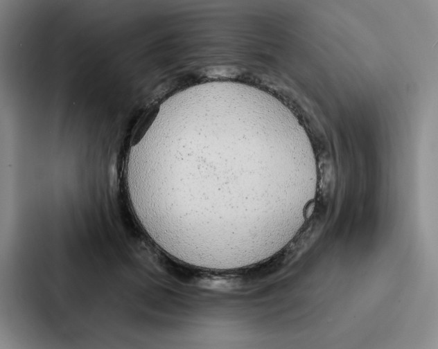 X0000086950655200705141823