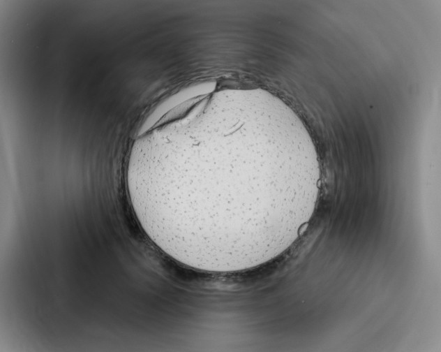 X0000086950656200705141823