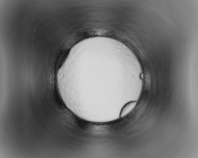 X0000086950657200705141823