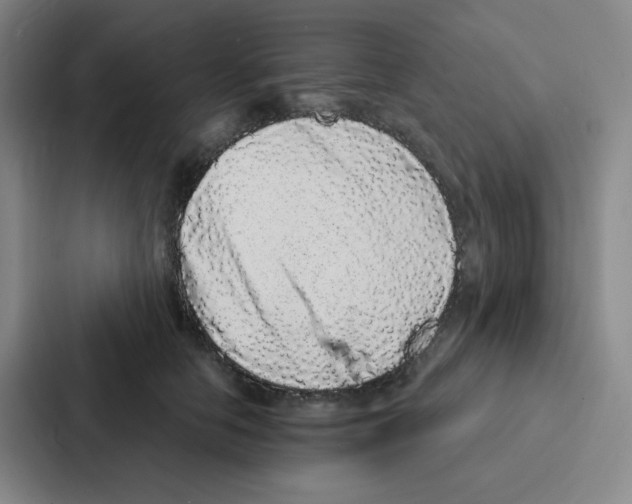 X0000086950658200705141823