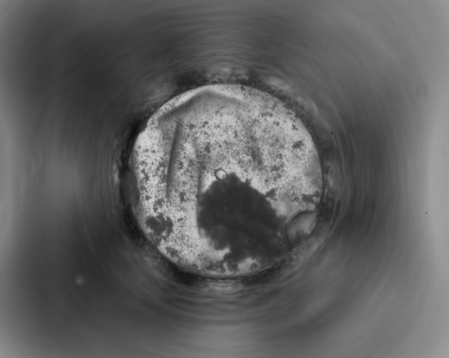 X0000086950659200705141823