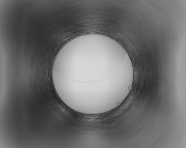 X0000086950660200705141823