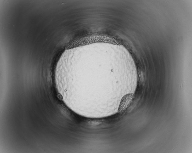 X0000086950662200705141823