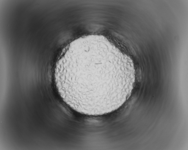 X0000086950664200705141823