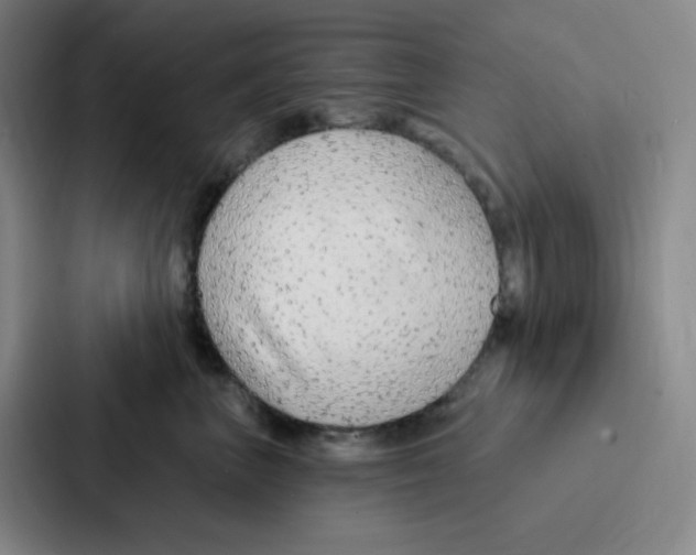 X0000086950667200705141823