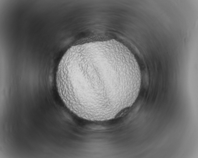 X0000086950668200705141823