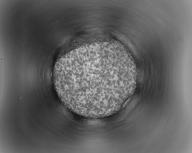 X0000086950669200705141823