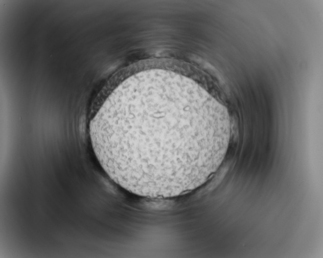 X0000086950670200705141823